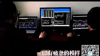 永嘉电视台爆料视频最新